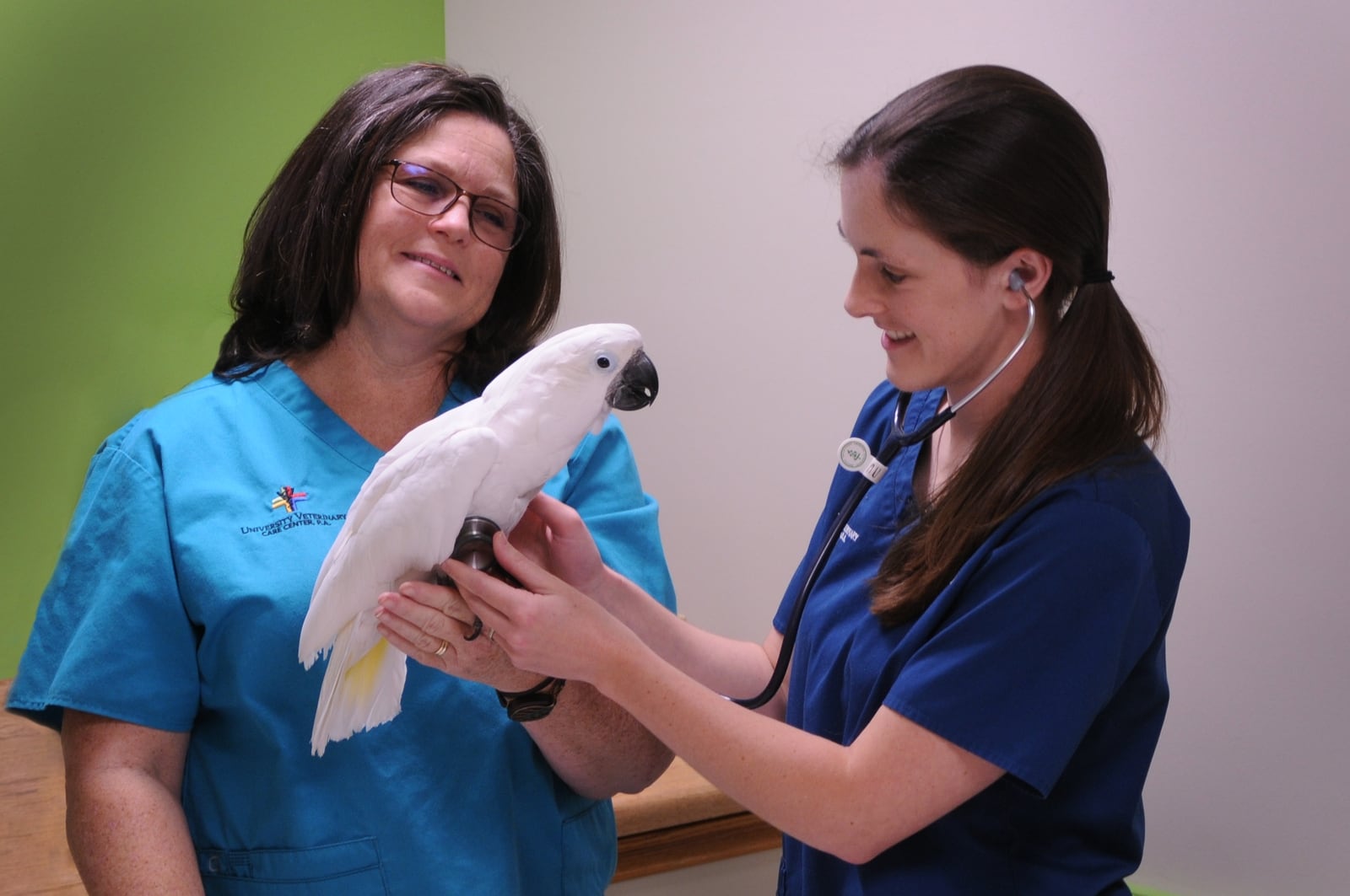 Exotic Animal Medicine at University Veterinary Care Center, Topeka Kansas